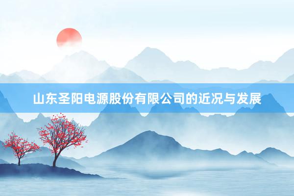 山东圣阳电源股份有限公司的近况与发展